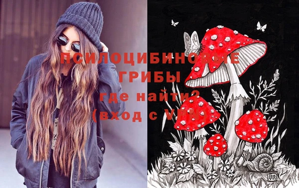 дурь Абаза