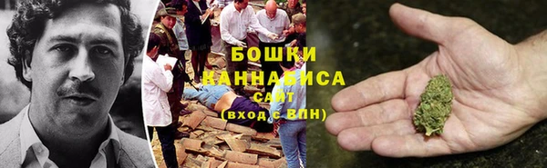 МДПВ Анива